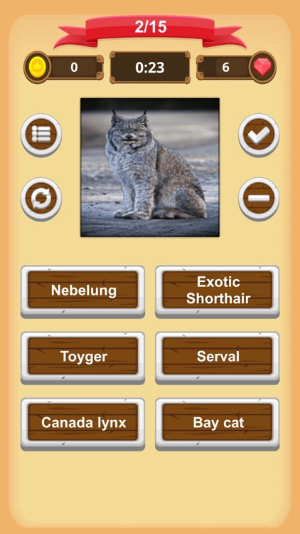 Cats - Quiz screenshot-4