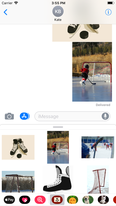 Hockey Sticker Pack screenshot 2