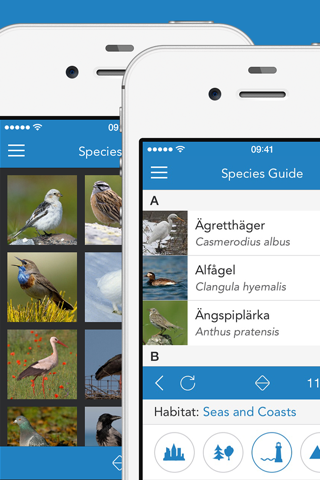 iKnow Birds 2 PRO - Europe screenshot 2