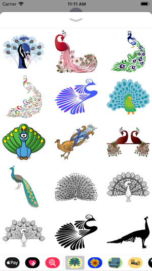 Pretty Peacock Stickers