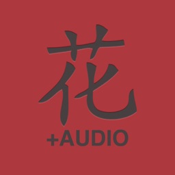 DianHua Audio Dictionary