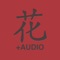 DianHua Audio Dictionary is a Chinese English Dictionary and Study Tool for iOS including audio pronunciation of all words and phrases