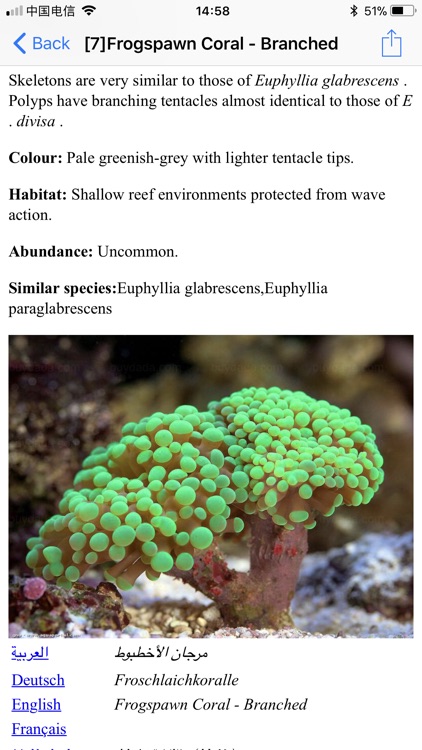 Coral Reefs Bible