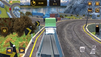 Truck Driver Future Cargo Sim screenshot 4