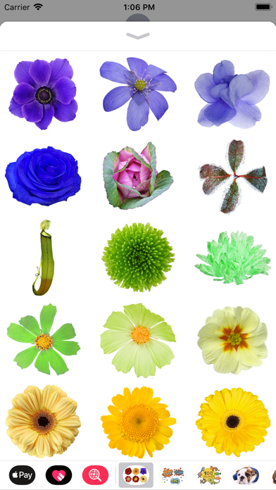 100+ Flower Stickers screenshot 2