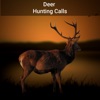 Deer Hunting Calls!