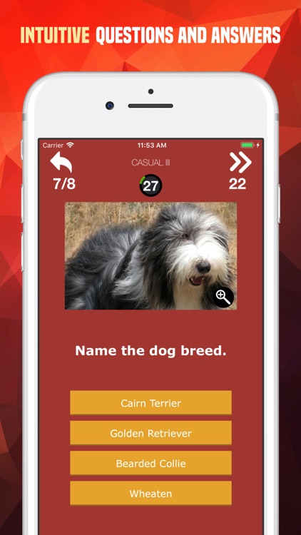 Dogs Trivia - Canis Breed Quiz screenshot-5