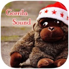 Gorilla Monkey Sounds