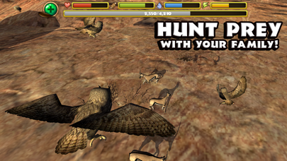 Owl Simulator screenshot 4