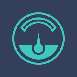 Twin Battery Monitor