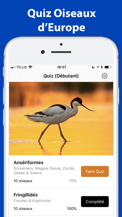 Screenshot #1 pour Quel Oiseau! (Europe)