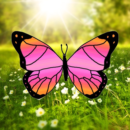 Butterfly On Screen iOS App