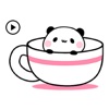 Animated Tiny Panda Sticker