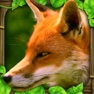 Get Fox Simulator for iOS, iPhone, iPad Aso Report