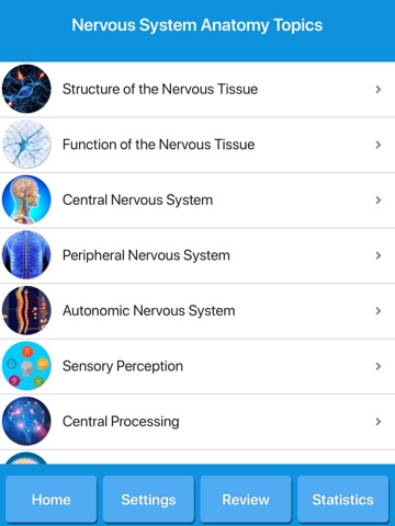 Human Nervous System Anatomy screenshot 2