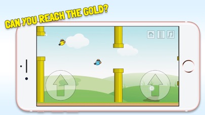 2 Floppy Birds - Double the challenge Screenshot 4