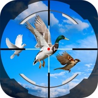 Master Sinper Wild Duck 3D pour PC