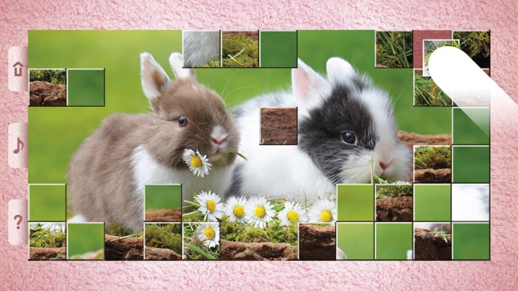 Little Animal Puzzles