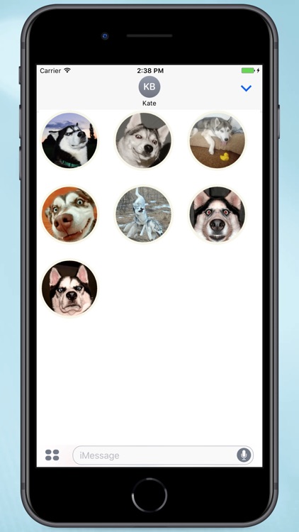 Husky Faces Stickers