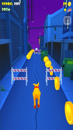 Super Fancy Run -Dog Adventure(圖1)-速報App