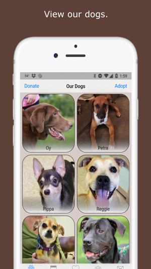 WishBone Canine Rescue(圖2)-速報App