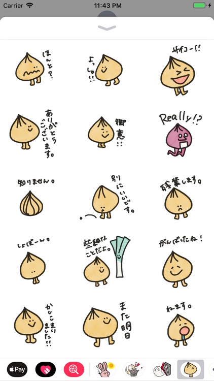 tamanegi kun!!