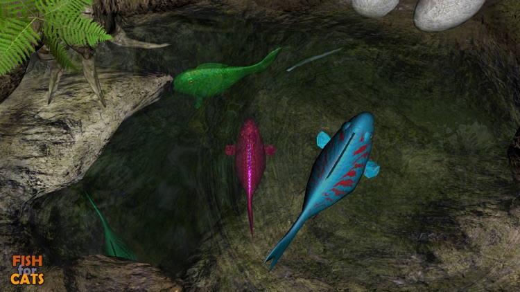 Fish for Cats: 3D fishing game for cats screenshot-3