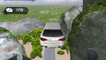 100 Speed Bumps Driving Test screenshot 2