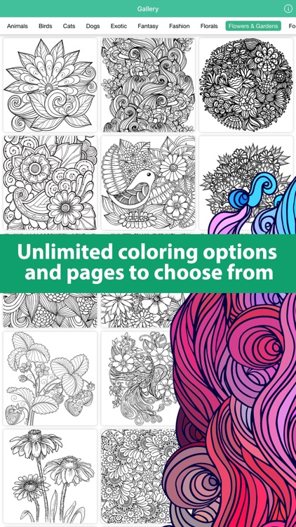 Doodle Color: Coloring Book