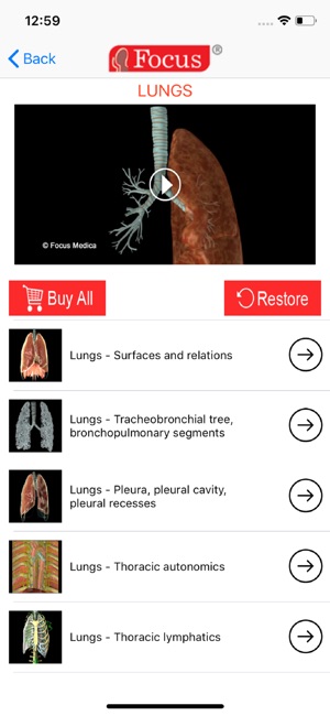 LUNGS - Digital Anatomy(圖2)-速報App