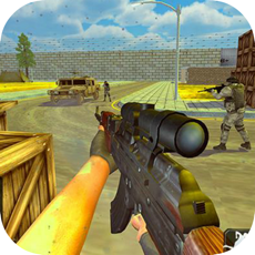 Activities of SWAT Shooting Terrorist