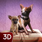 Chihuahua Puppy Pet Simulator