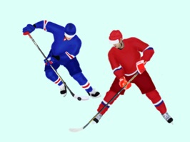 Meet our new hockey stickers