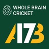 AB de Villiers Whole Brain Cricket