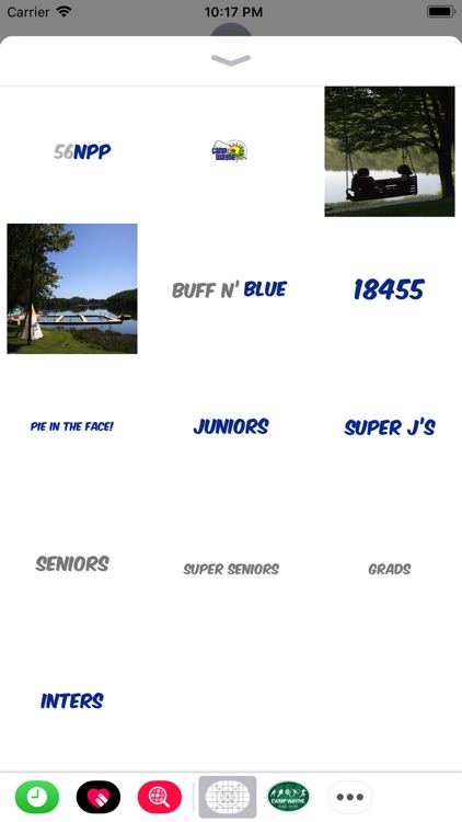 Camp Wayne Girls Sticker Pack