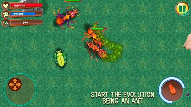 Ant City Colony Evolution