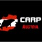 Carp Austria ist die App die Sie ständig über unsere neuesten Fänge informiert