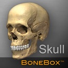 Top 22 Medical Apps Like BoneBox™ - Skull Viewer - Best Alternatives