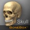 Get a good look at the human skull with this 3-D medical education app