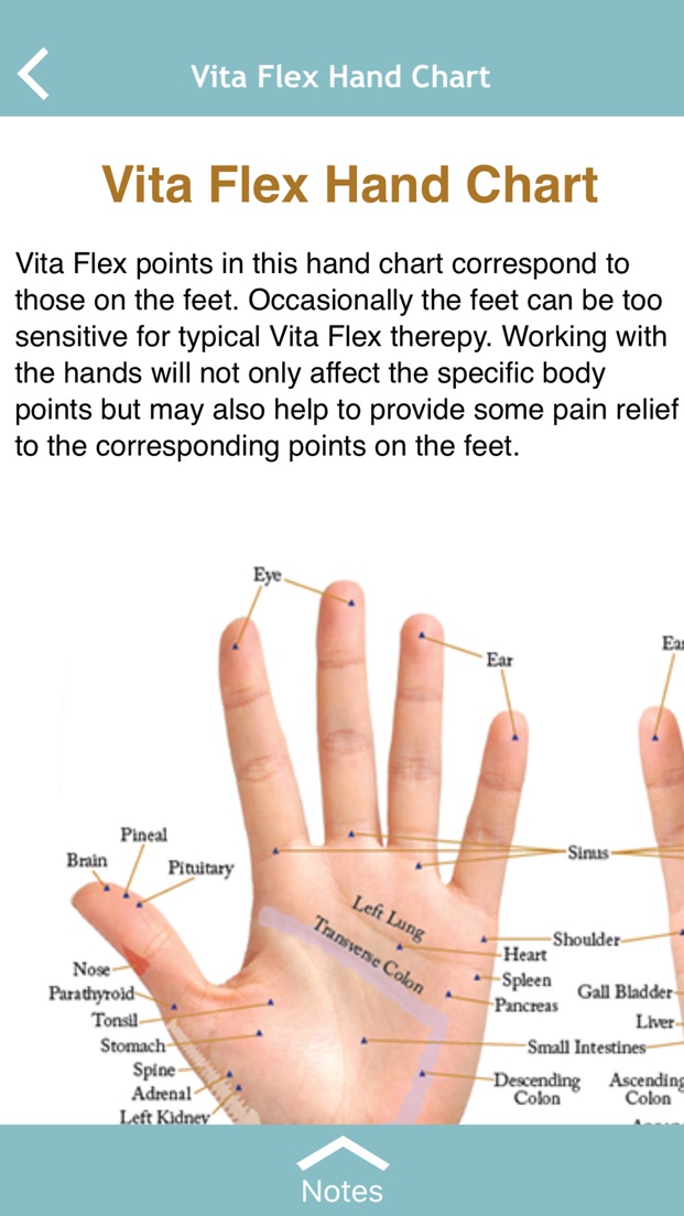 Vita Flex Hand Chart