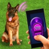 Training Dog Clicker Trinket