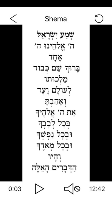 Pray in Hebrew Shema screenshot 2