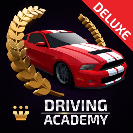 Driving Academy 2017 - Deluxe icon