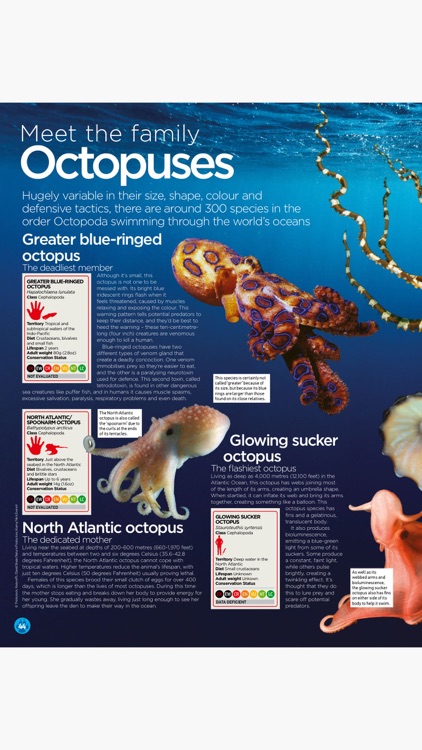 World of Animals Magazine: Wildlife and nature