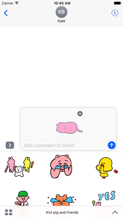 Kini pig and friends