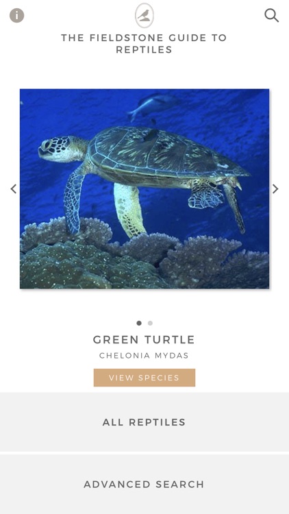 Fieldstone Guide: Reptiles