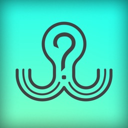 POLLY | Let's be honest.