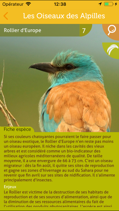 How to cancel & delete Les oiseaux des Alpilles from iphone & ipad 4