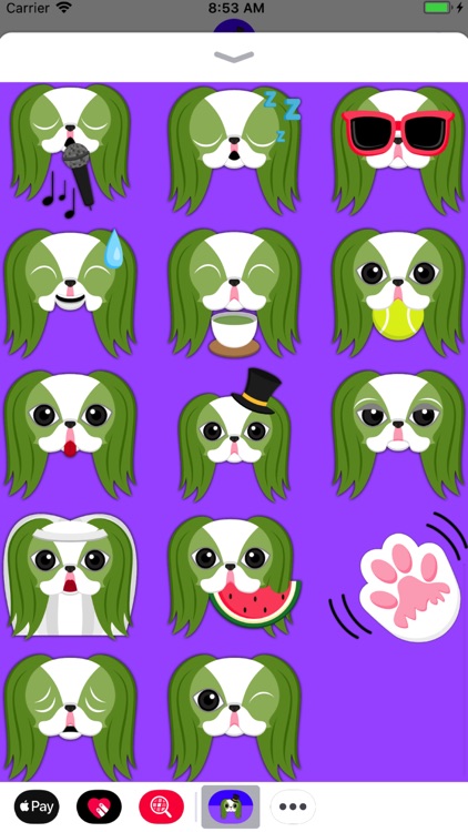 St Patrick's Day Japanese Chin screenshot-3