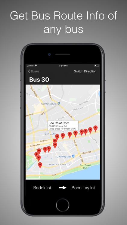 SG Bus Time screenshot-4